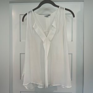 Sheer Naked Zebra Top